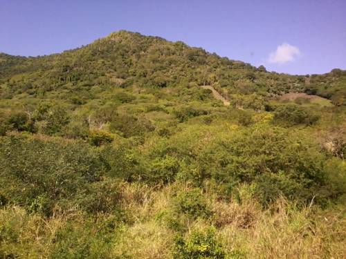 Фото 
Villa La Romance Kreol
