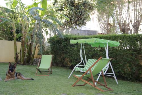 Фото 
Surf Shack Ericeira
