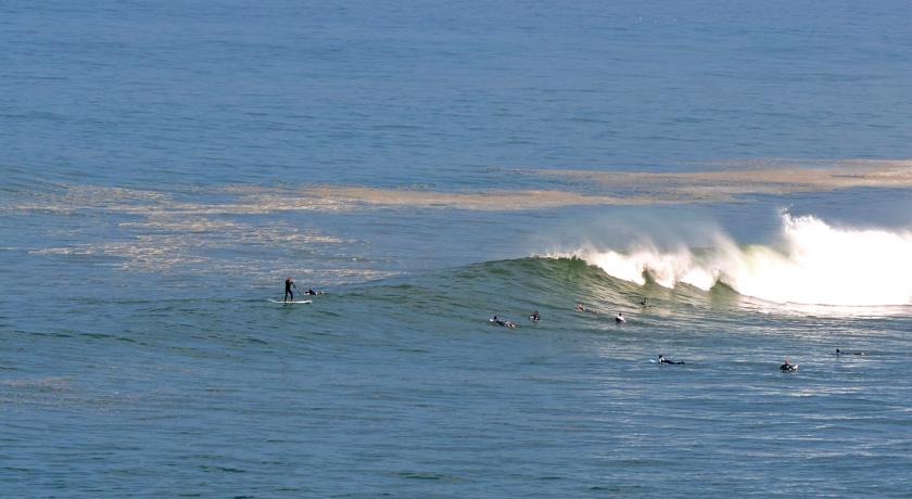 Фото 
Duke&#39;s Sea View Apartment
