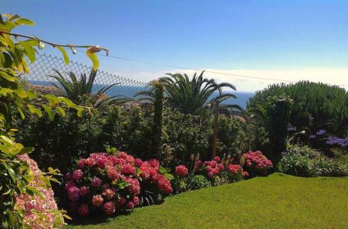 Фото 
Big Fat Whale
