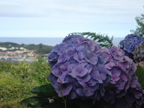 
Holidays Nazare
