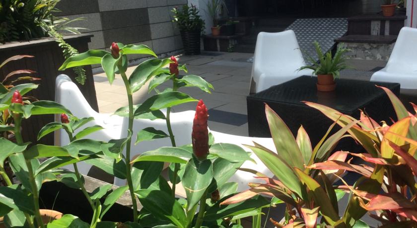 Фото 
Hotel Daniela
