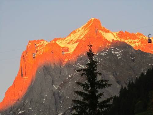 Фото 
Swiss Star Wiedikon
