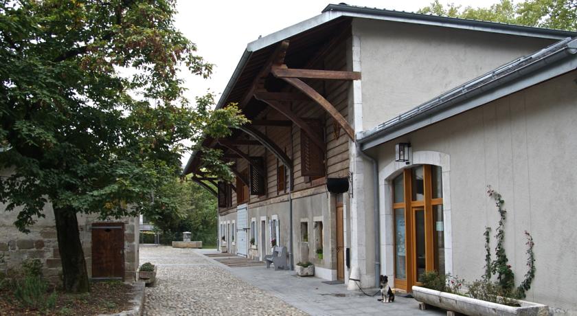 Фото 
Barony Olive
